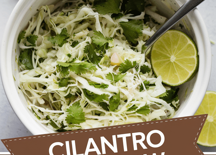Cilantro Lime Slaw