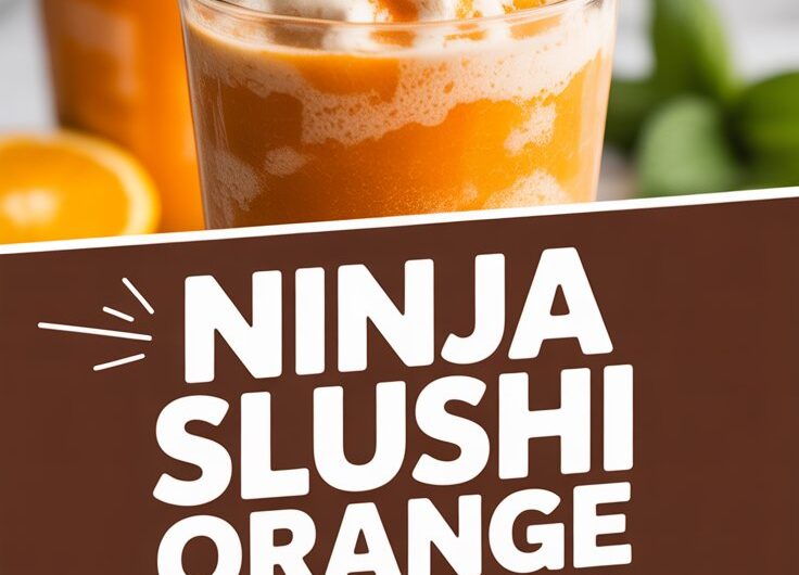 Ninja Slushi Orange Julius
