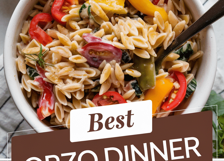 Best Orzo Dinner Recipe
