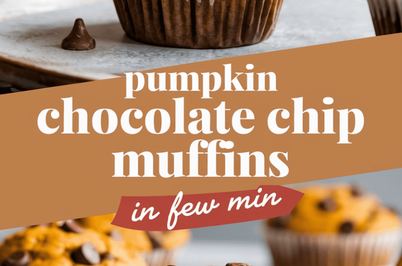 Pumpkin Chocolate Chip Muffins