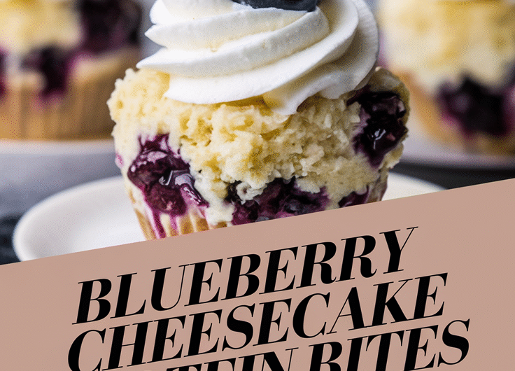 Blueberry Cheesecake Protein Bites